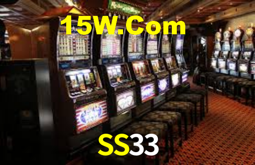 SS33
