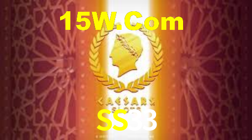 SS33 Login